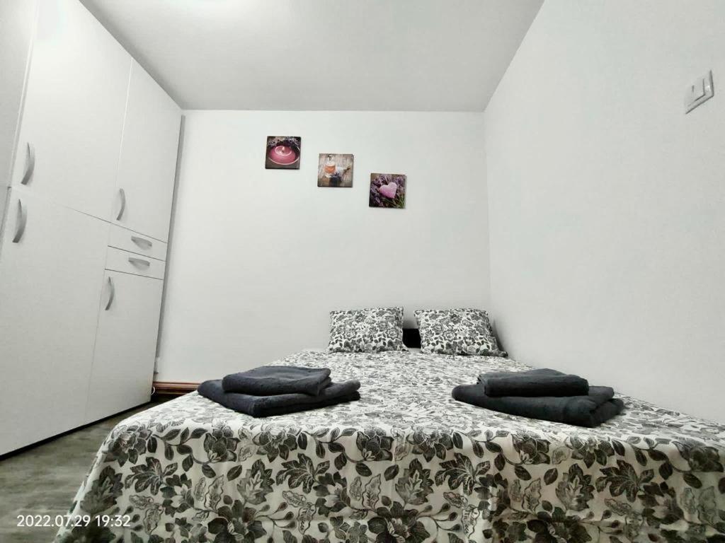 Lavanda Studio Brașov Exterior foto